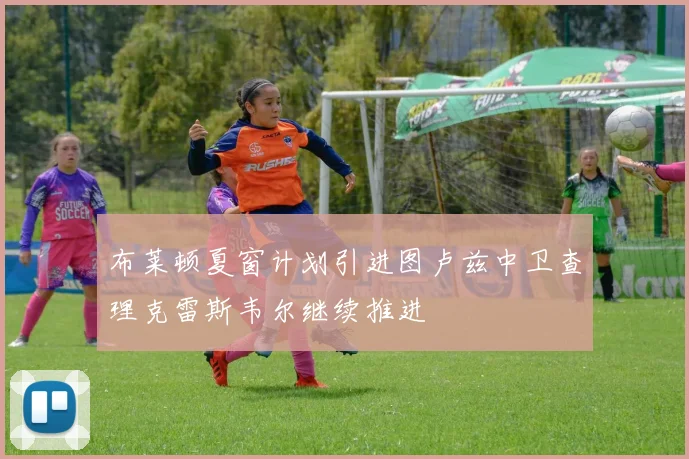 布莱顿夏窗计划引进图卢兹中卫查理克雷斯韦尔继续推进